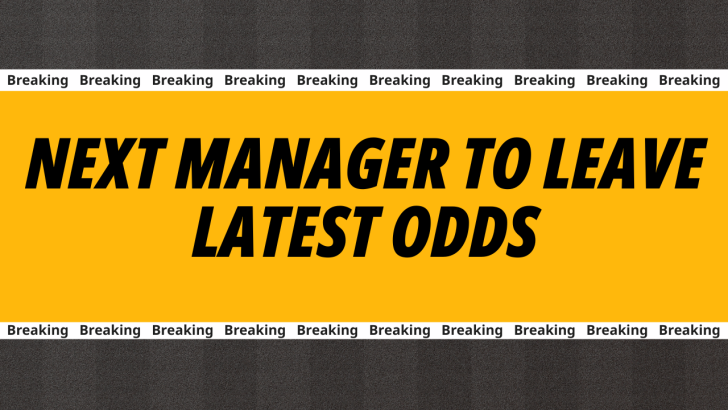 Next Premier League Manager to Leave betting